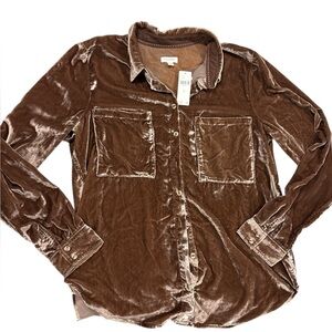 Pilcro by Anthropology The Hadley Relaxed Buttondown Shirt in a brown velvet M